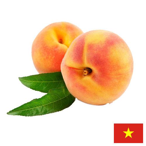 Персики из Вьетнама
