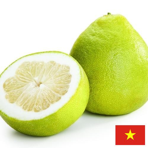 Помело из Вьетнама