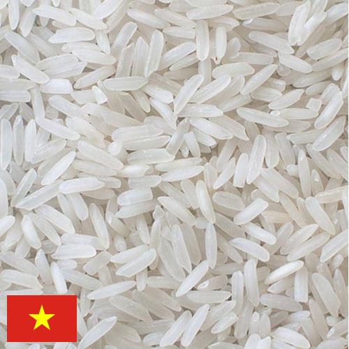 рис длиннозерный из Вьетнама