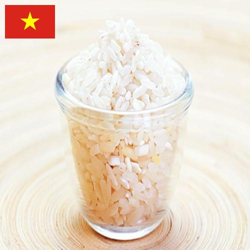 рис шлифованный из Вьетнама