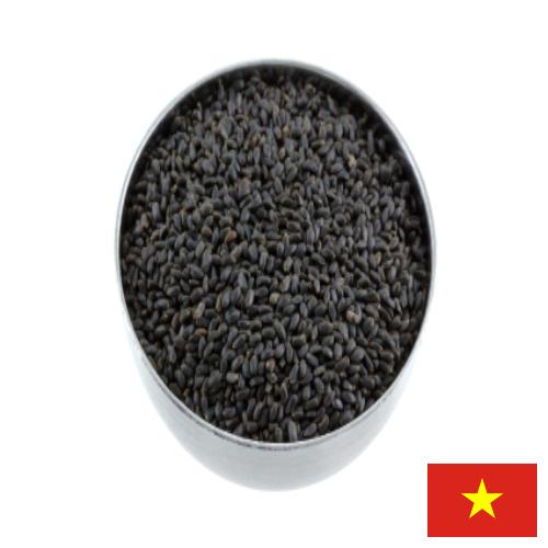 Семена базилика из Вьетнама