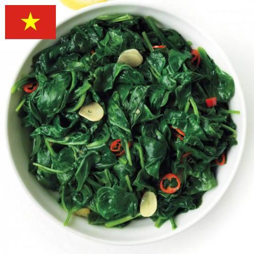 Шпинат из Вьетнама