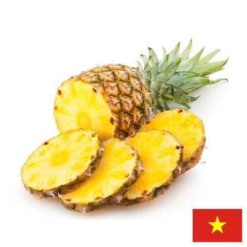 сок ананасовый из Вьетнама