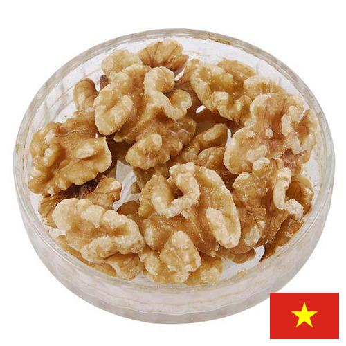 Ядра орехов из Вьетнама