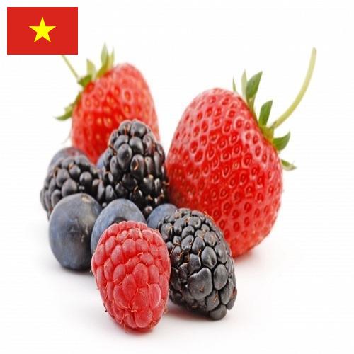 Ягоды из Вьетнама