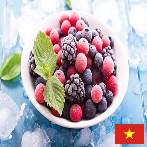 Замороженные фрукты из Вьетнама