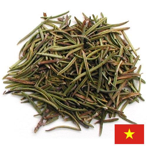 зелень сушеная из Вьетнама