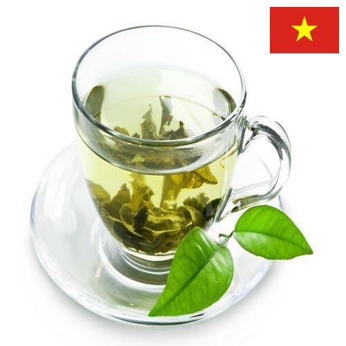 Зеленый чай из Вьетнама