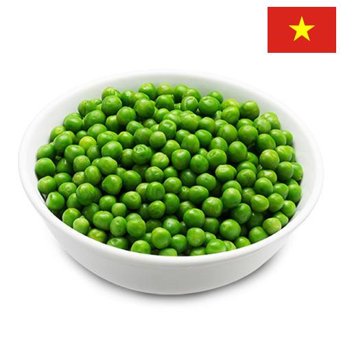 Зеленый горошек из Вьетнама