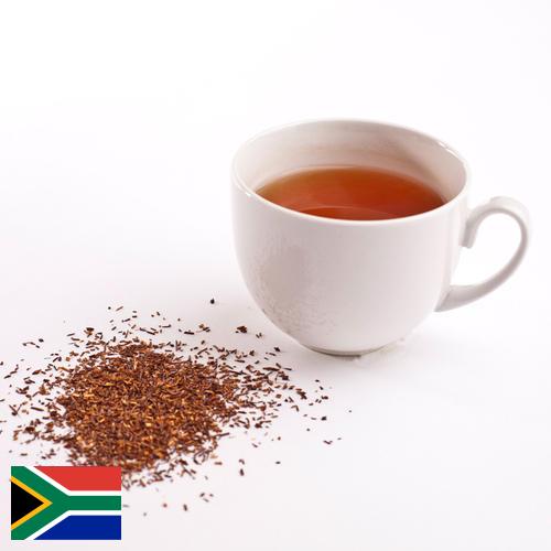 чай ройбуш из Южной Африки