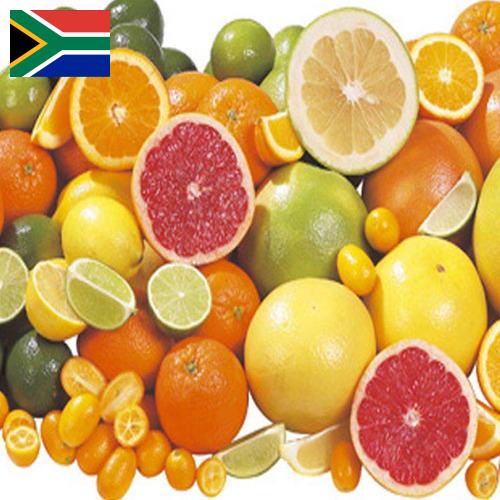 Цитрусовые фрукты из Южной Африки