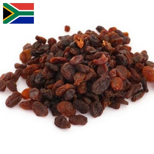 Изюм из Южной Африки