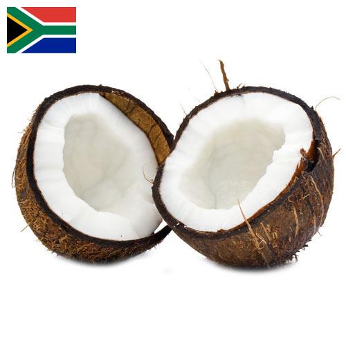 Кокосы из Южной Африки