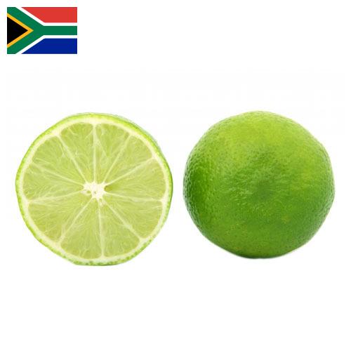 лайм из Южной Африки