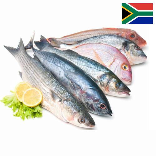 Морепродукты из Южной Африки