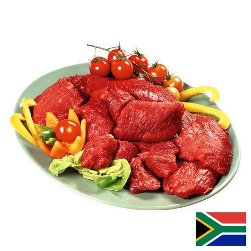 мясная продукция из Южной Африки