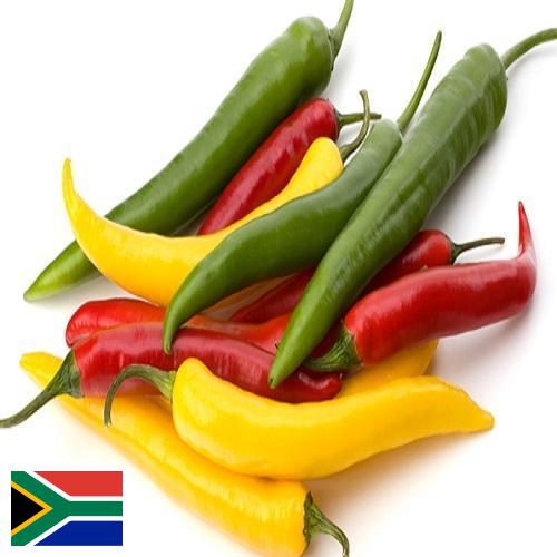 Перец чили из Южной Африки