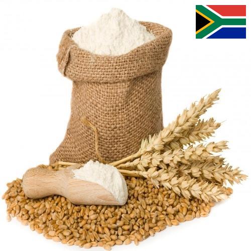 Пшеничная мука из Южной Африки
