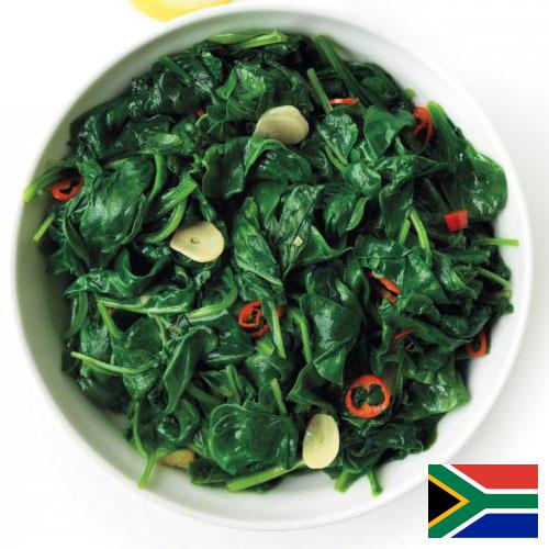 Шпинат из Южной Африки
