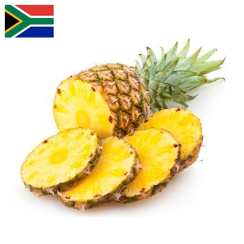 сок ананасовый из Южной Африки