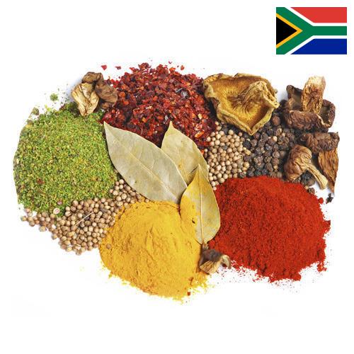 Специи и пряности из Южной Африки