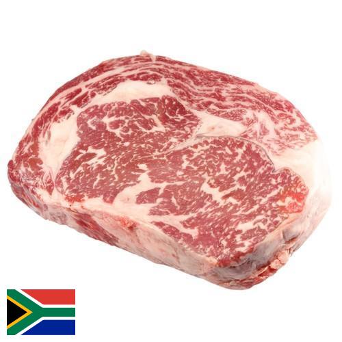 замороженного мясо из Южной Африки