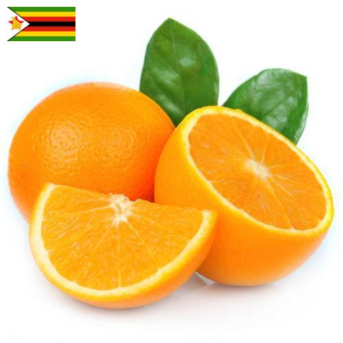 апельсины свежие из Зимбабве