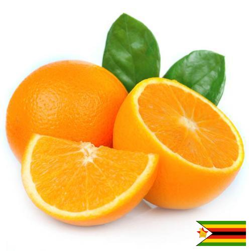 Апельсины из Зимбабве