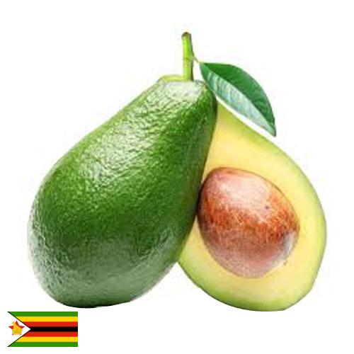 Авокадо из Зимбабве