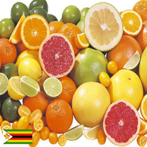 Цитрусовые фрукты из Зимбабве