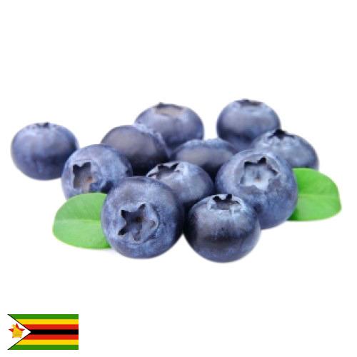 Голубика из Зимбабве