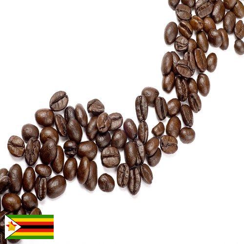 Кофе в зернах из Зимбабве