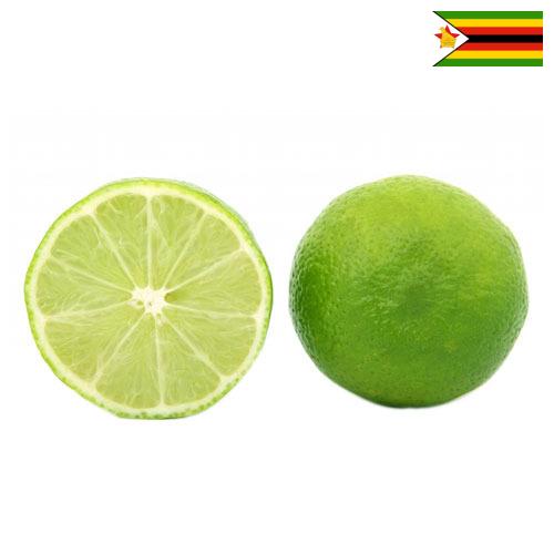 лайм из Зимбабве