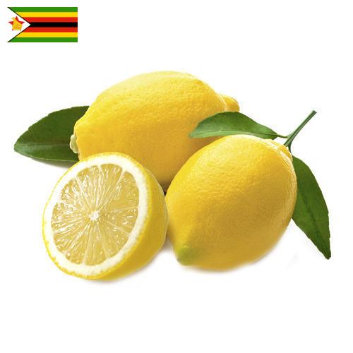 лимон свежий из Зимбабве