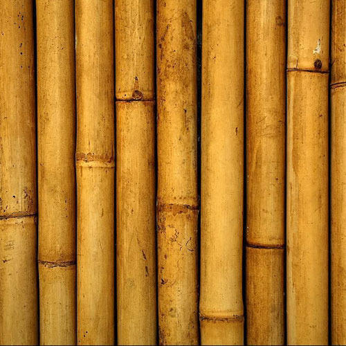 поставки бамбука