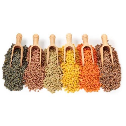 поставки Бобовых культур