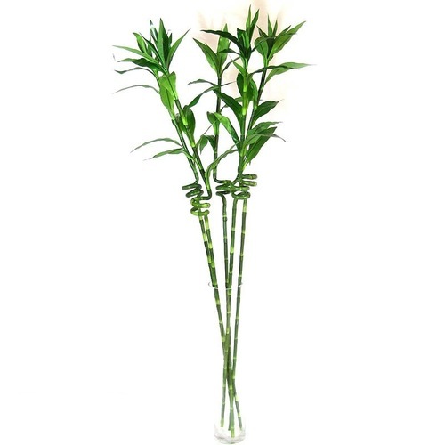 поставки растений искусственных