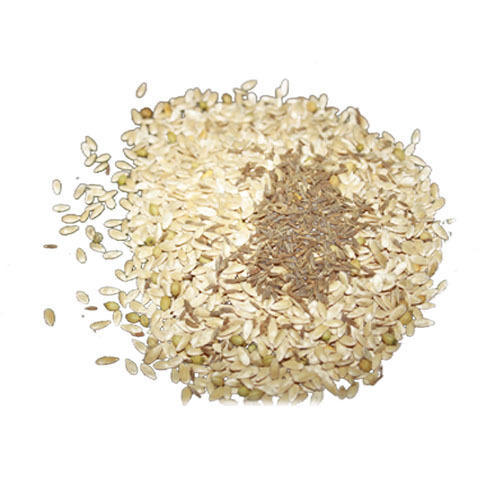 поставки семян огурцов