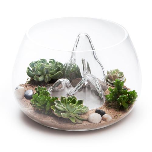 поставки террариумов